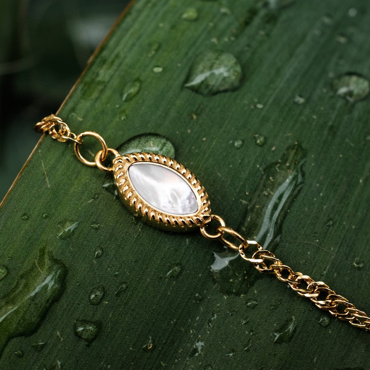 Visual Bracelet (White Mother-of-pearl/Gold)