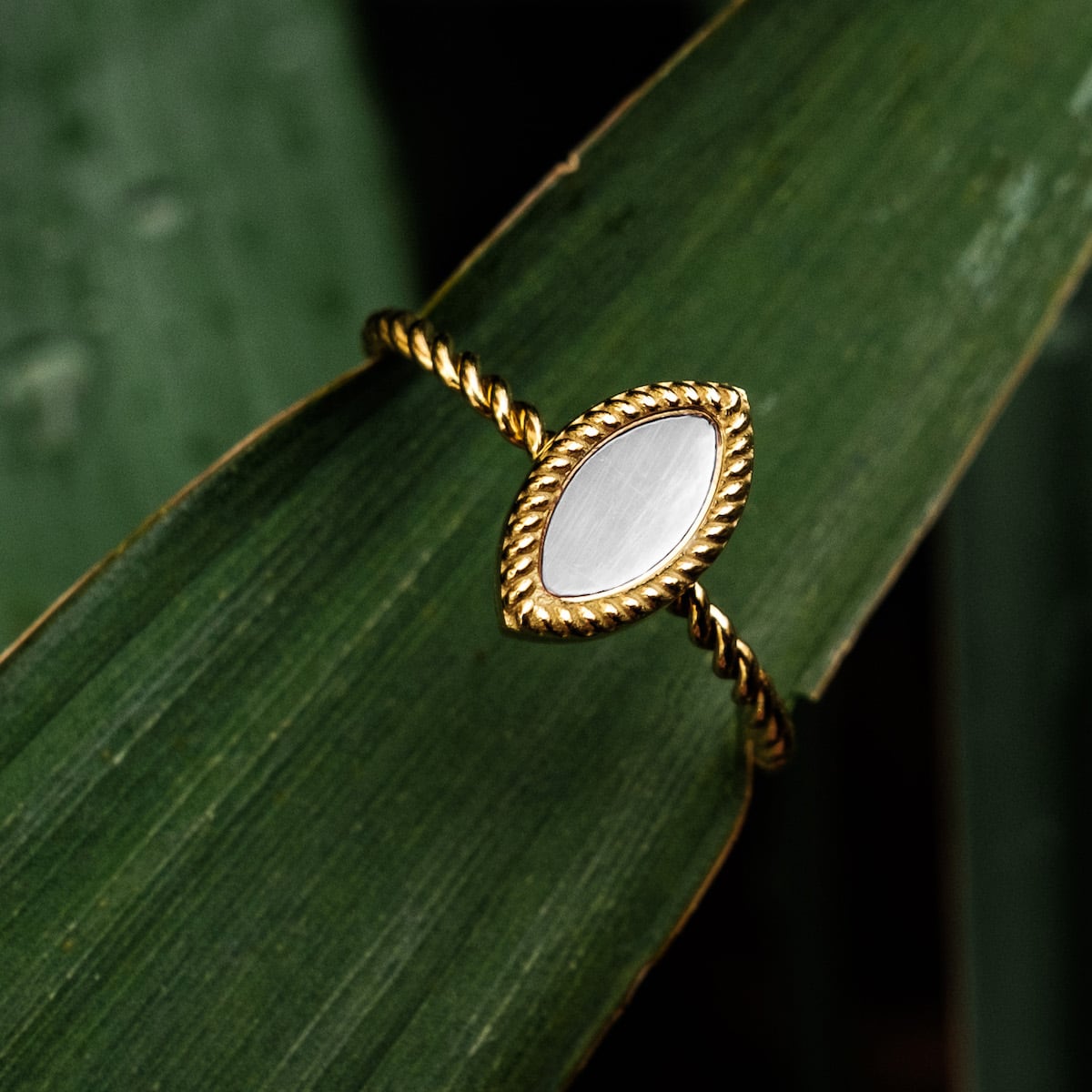 "Visual Ring" ring featuring white nacre and gold accents with an elegant, twisted band design.