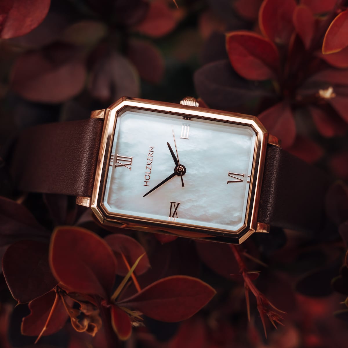 "Excellencia" watch featuring a nacre dial and rose gold accents with a brown leather strap, set against a floral background.