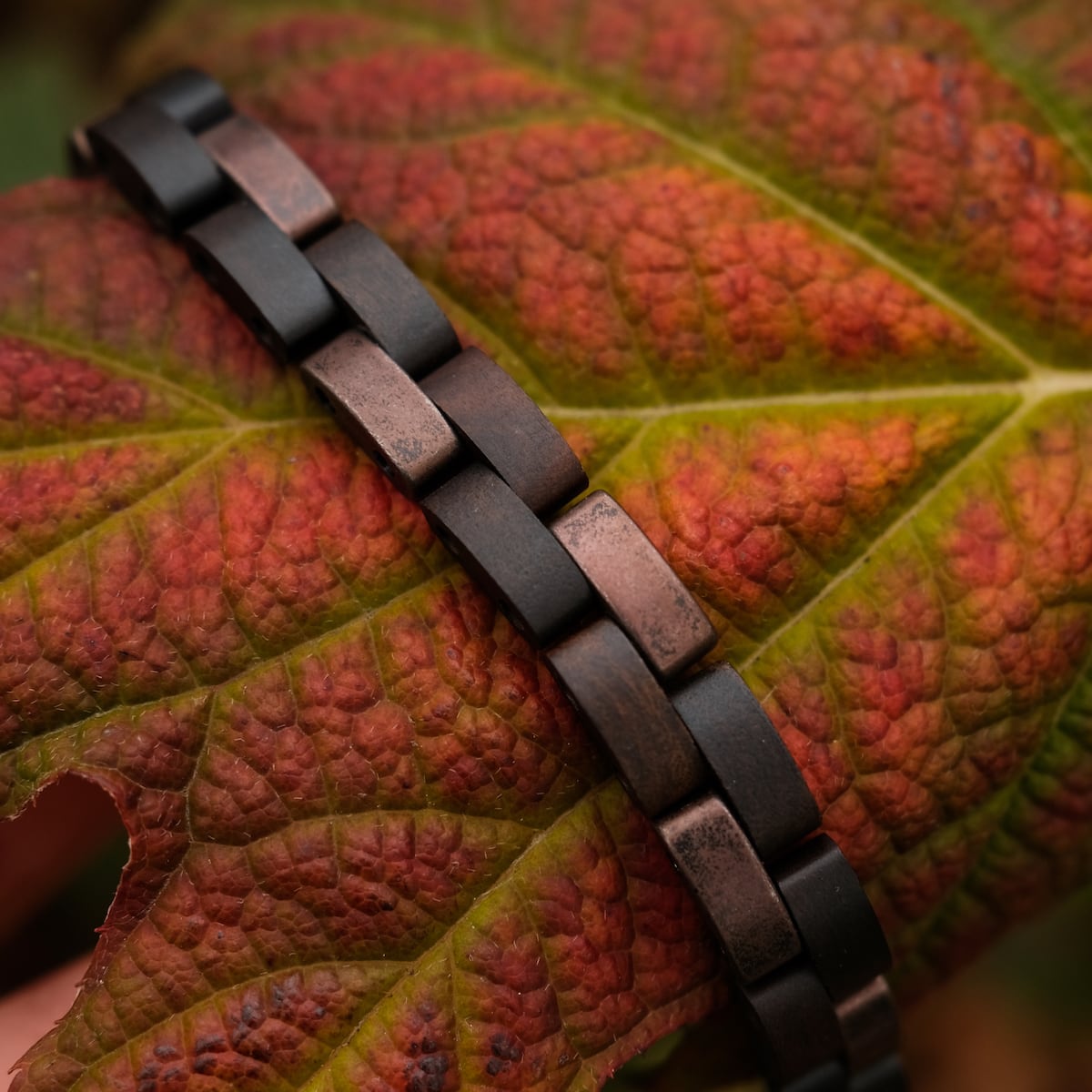 "Rondo", a stylish bracelet, features a blend of maple and antique copper with a modern design.