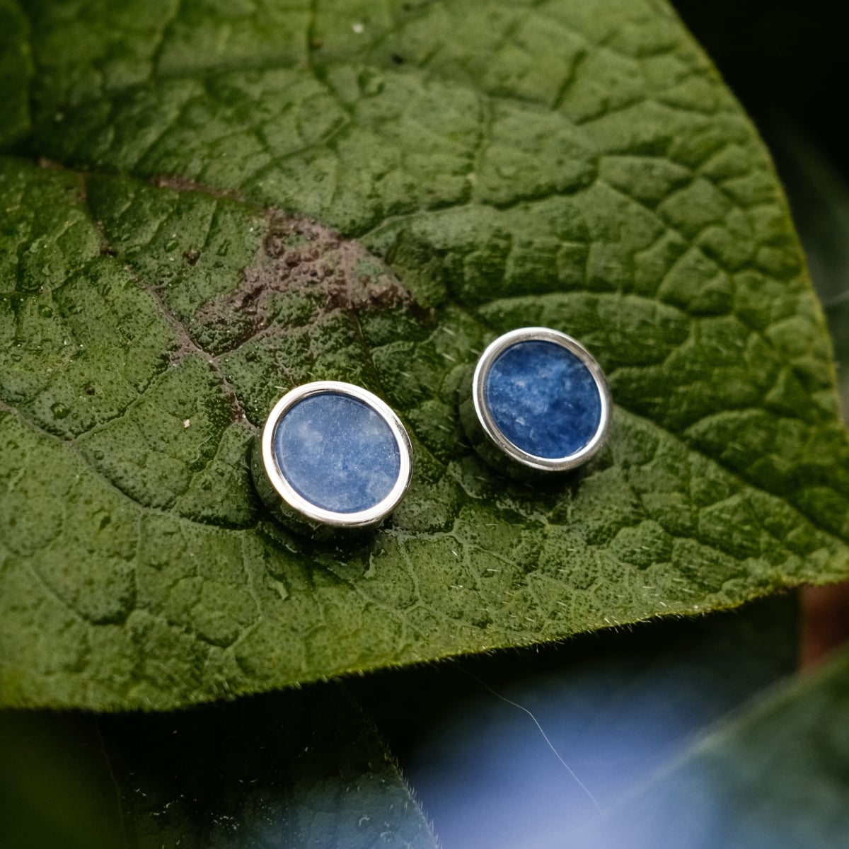 "Pigment Earrings", elegant earrings featuring a marble-like blue design set in silver, resting on a textured leaf background.