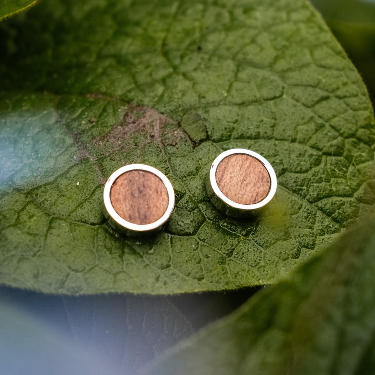 "Pigment Earrings" earrings blend koa wood with silver accents, offering a natural and elegant style.