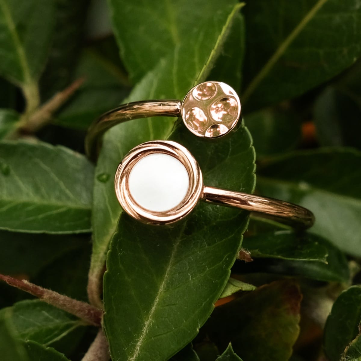 "Zendala Ring" ring featuring a nacre and rose gold design on a lush green leaf background.