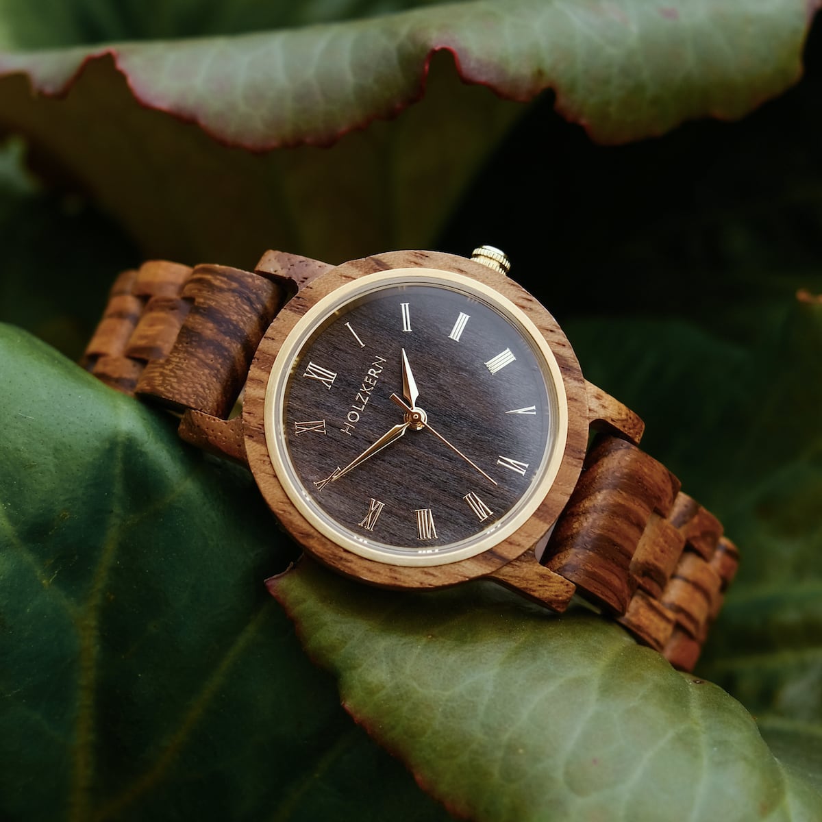 Earth wooden watch with zebrawood and maple elements, showcasing a natural and elegant design.