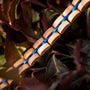 "Fantasia", a bracelet with olivewood and blue accents, displayed against dark leaves.