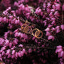 Effigy earrings featuring walnut and rose gold with a natural, elegant style against vibrant pink flowers.