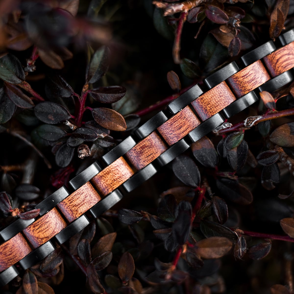"Triad" watch strap, featuring a mahogany and black link design, nestled among rich foliage.