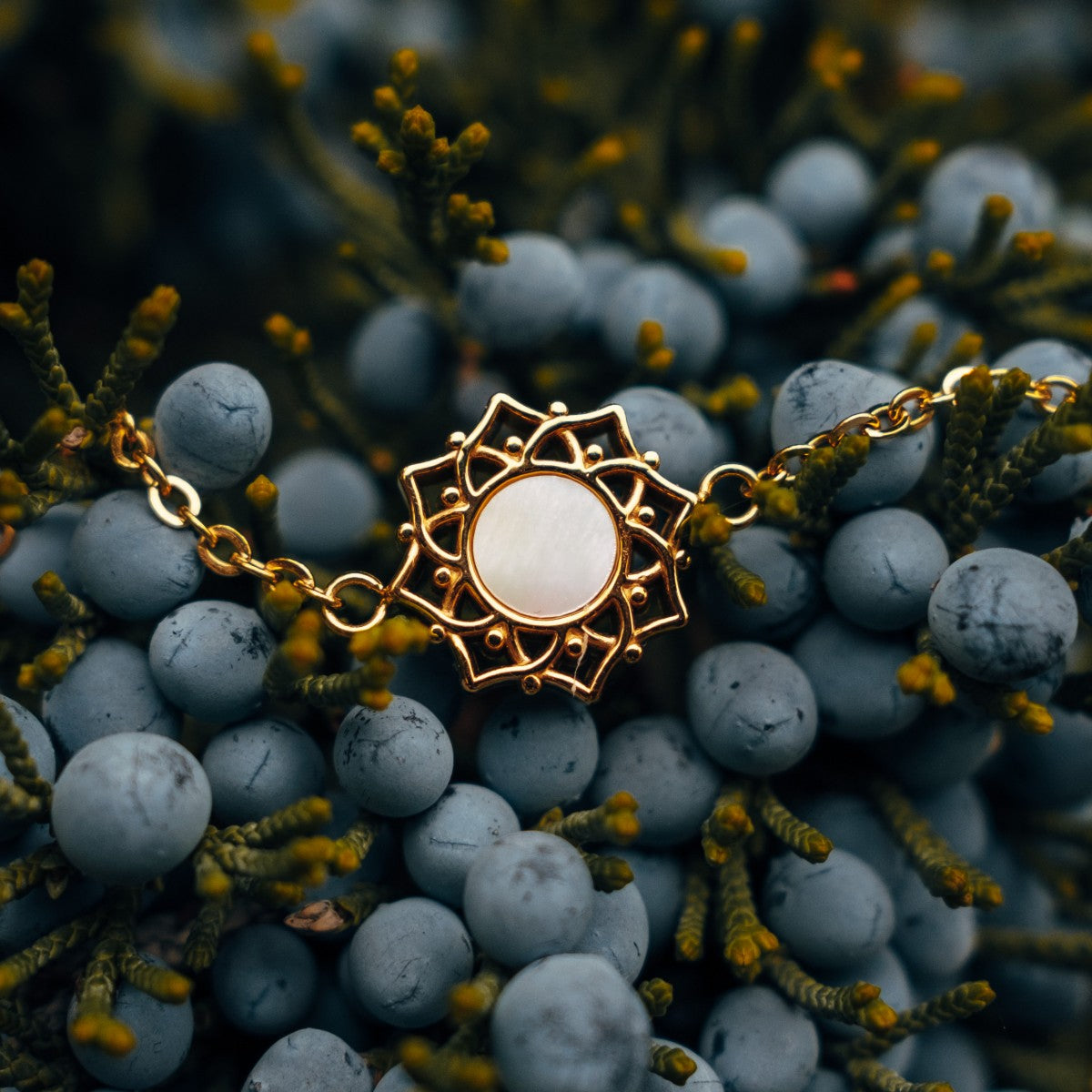 "Composition Bracelet" bracelet featuring white nacre and gold accents, elegantly styled among natural elements.