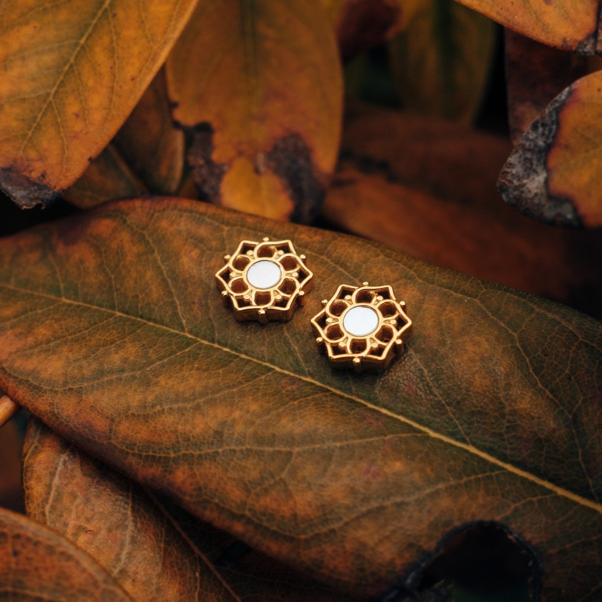 "Composition Earrings" earrings showcasing a white nacre and gold design on autumn leaves.