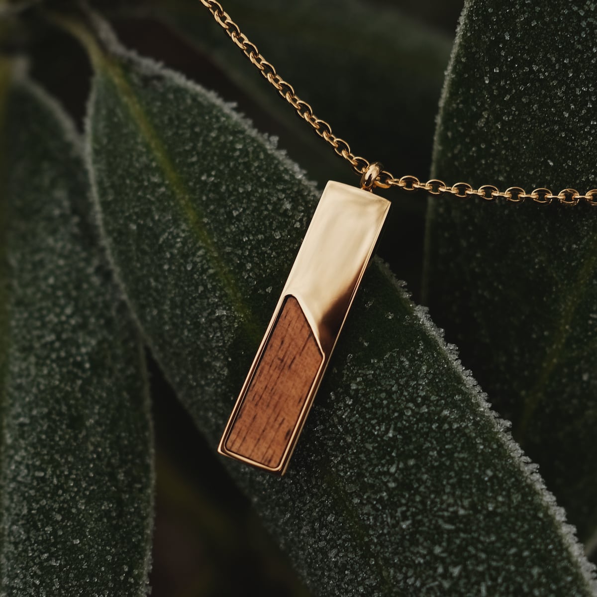 "Ephemera Necklace" necklace, featuring a modern design with koa wood and gold accents, against a textured leaf background.