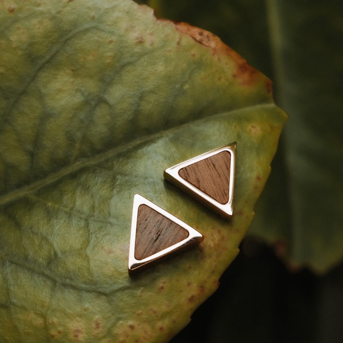 "Scale Earrings" – Triangular earrings featuring walnut wood and rose gold accents on a leaf backdrop.