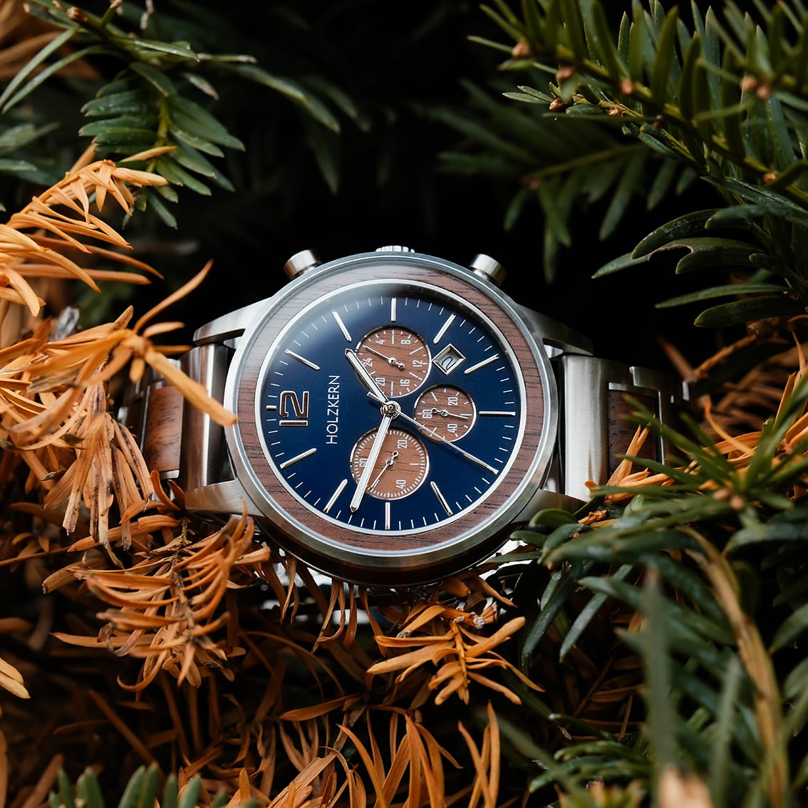 "Oscar" watch featuring a walnut and blue design, nestled among branches, showcasing a sleek and natural aesthetic.