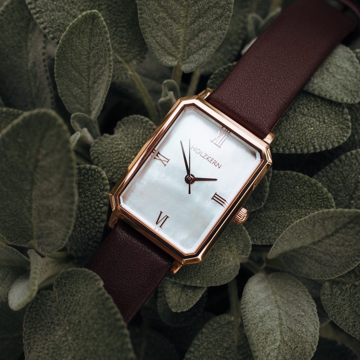 "Excellencia" watch, featuring a nacre dial and rose gold accents with a dark brown leather strap, set against lush green leaves.