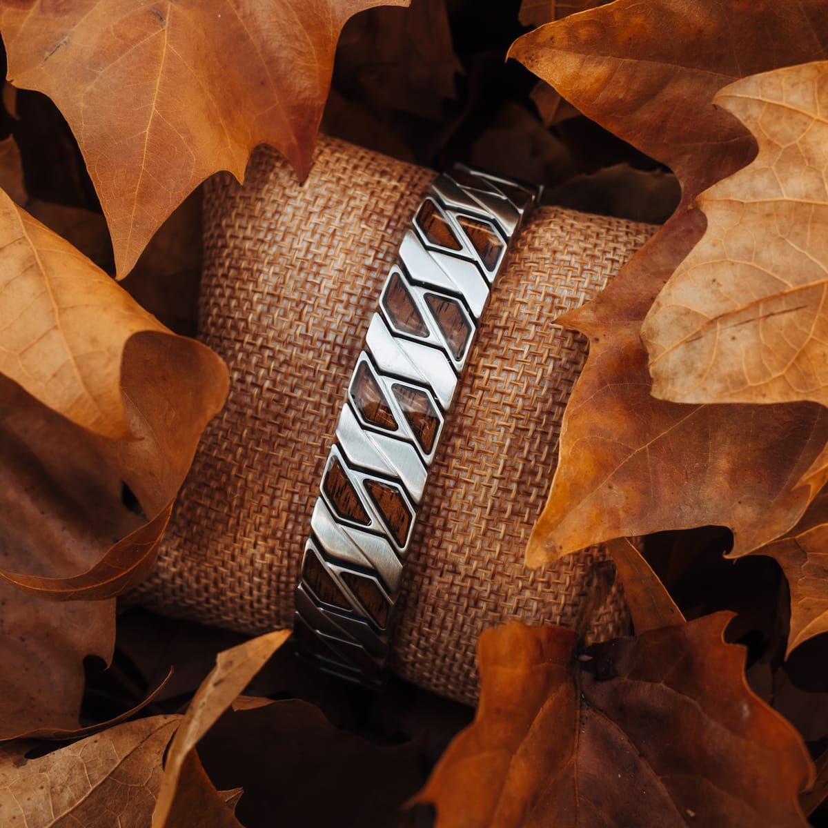 "Baritone" bracelet in Walnut and silver with a natural, textured design shown among autumn leaves.