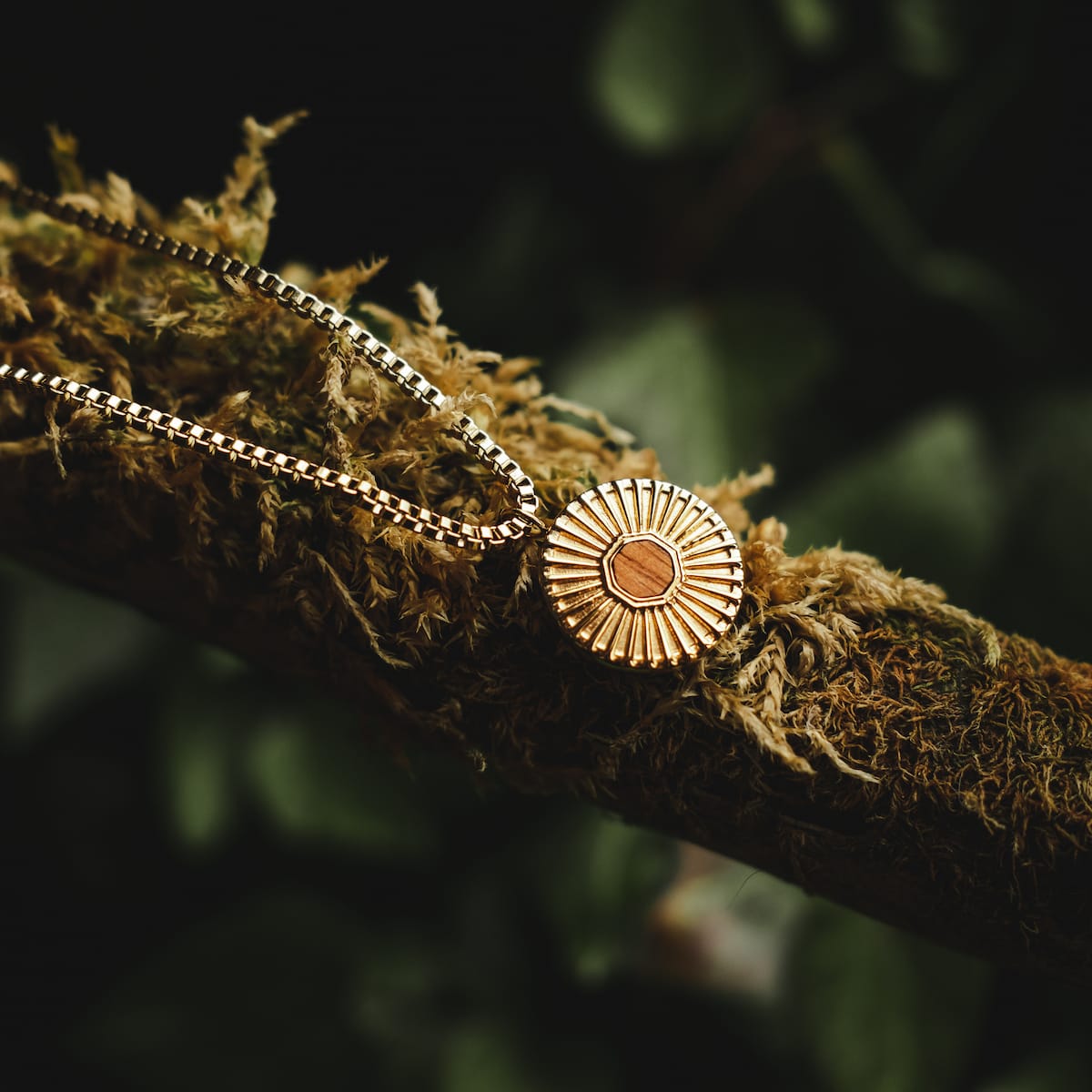 Stencil Necklace, a round gold necklace with sunburst design, elegantly displayed on a natural background.