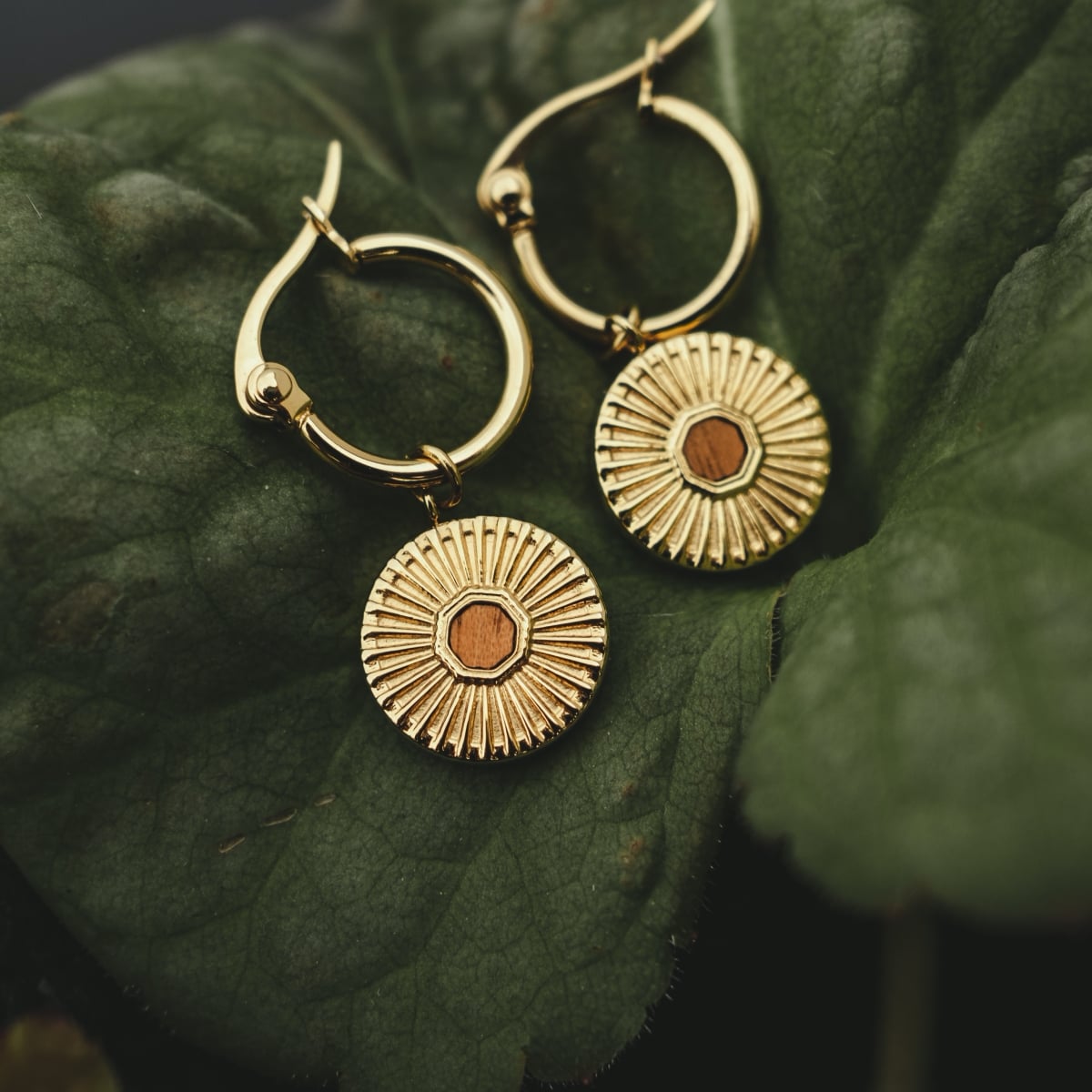 "Stencil Earrings" earrings showcasing a radiant gold and Koa wood design with a sunburst pattern, set against green foliage.