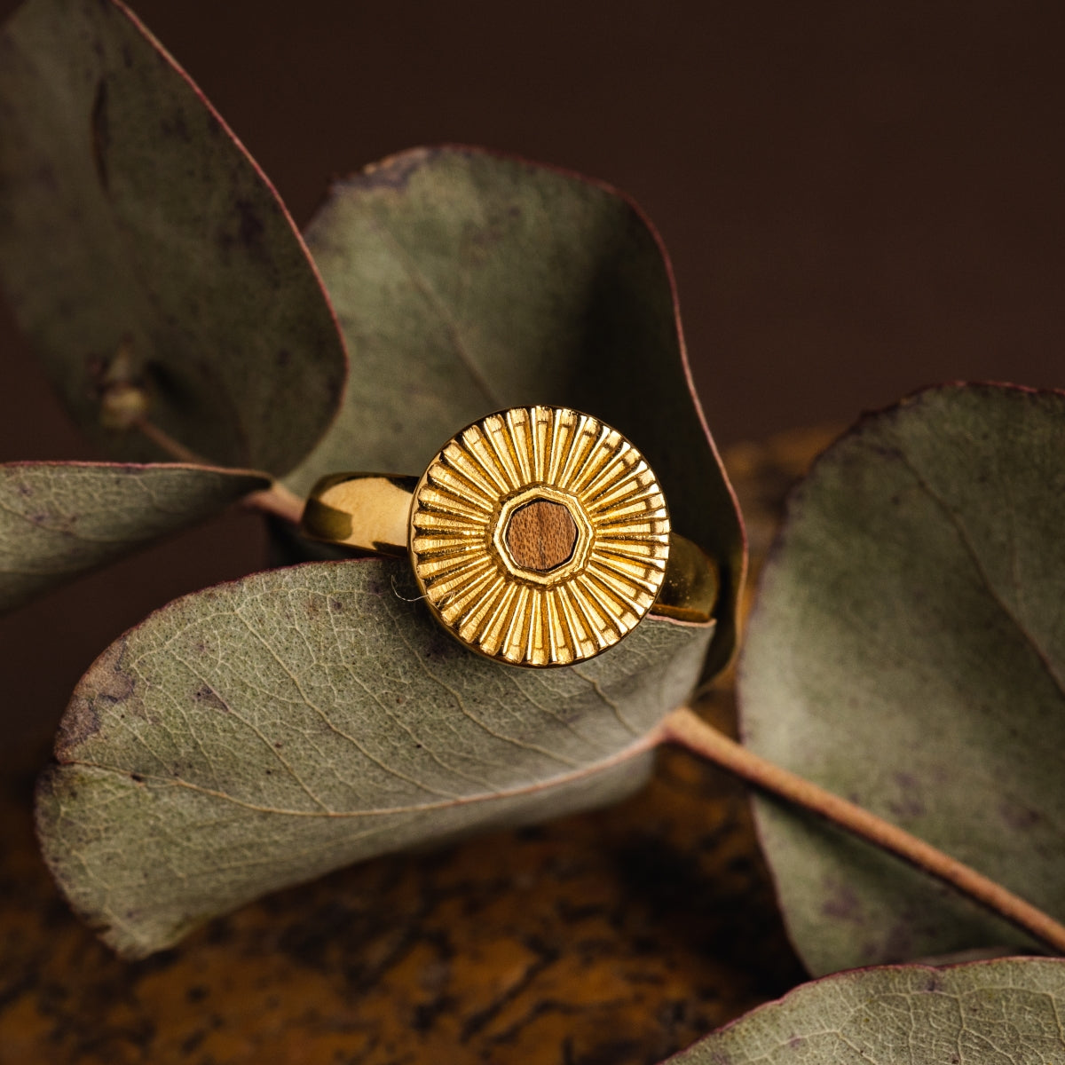 Stencil Ring (Koa/Gold)