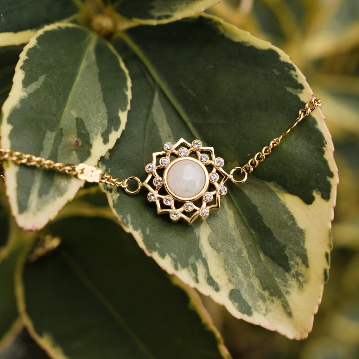 "Composition Gem Bracelet", a delicate bracelet featuring a moonstone encased in gold, displayed against lush green foliage.