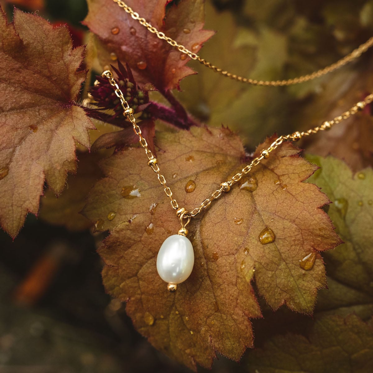 "Panoramic Necklace" necklace featuring a white pearl pendant on a delicate gold chain, styled elegantly against fall leaves.