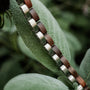 "Duet", a stylish bracelet featuring walnut and silver finishes, displayed on a textured plant leaf.