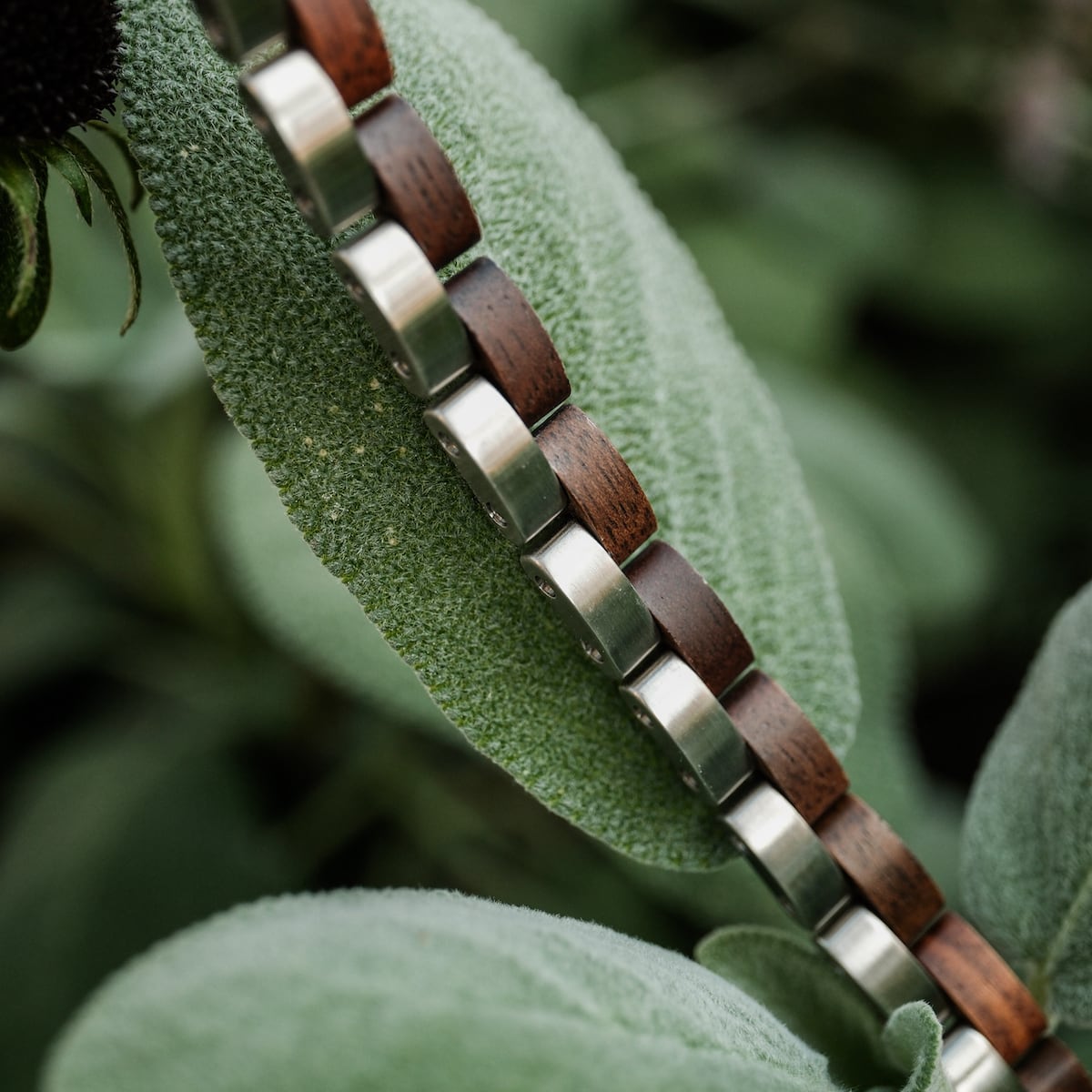 "Duet", a stylish bracelet featuring walnut and silver finishes, displayed on a textured plant leaf.
