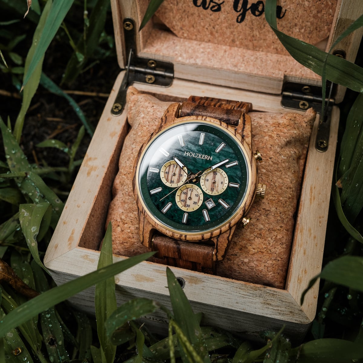 "Canopy", a stylish watch with zebrawood and marble details, displayed in a wooden box amidst greenery.