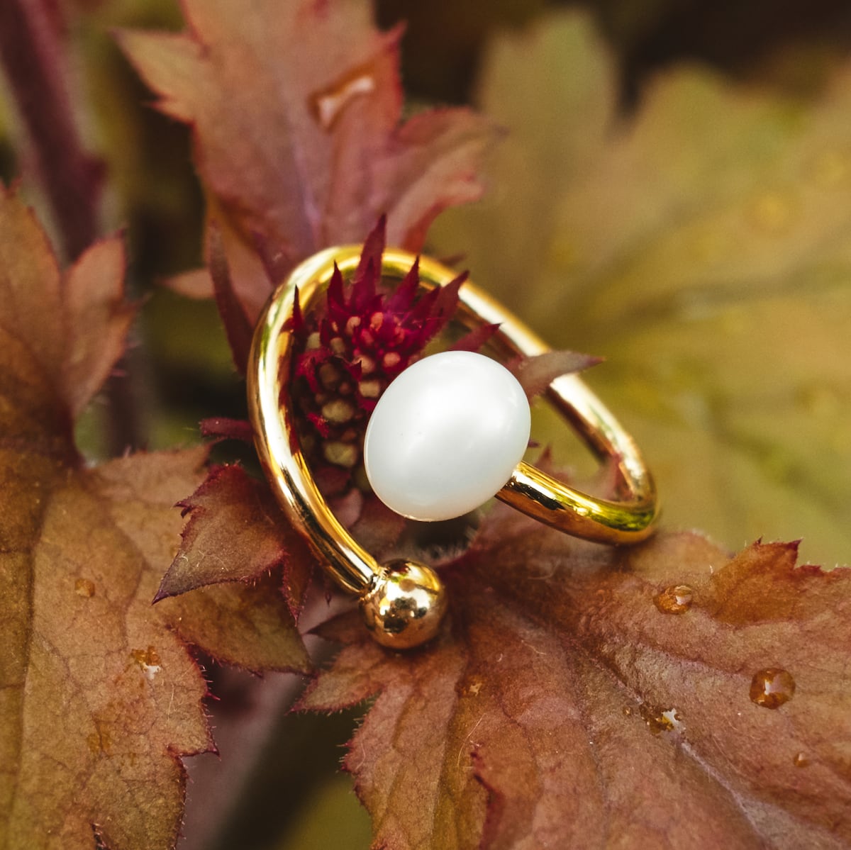 Panoramic Ring (Weiße Perle/Gold)