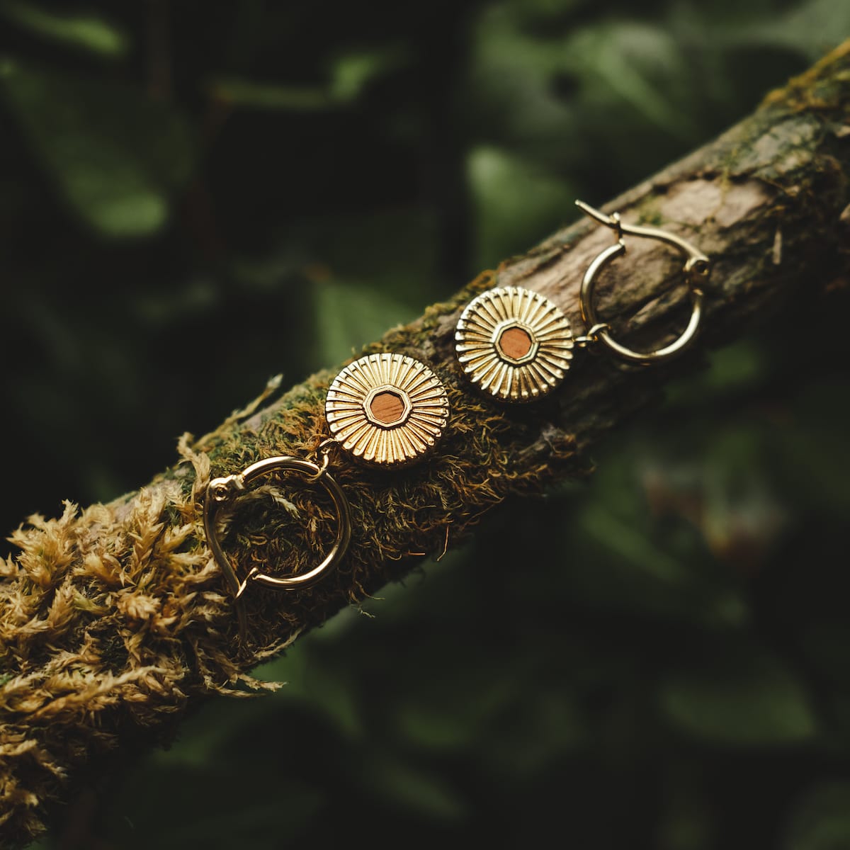 Stencil Earrings: Elegant Koa and Gold Stencil Earrings with a Radiant Design, Set Against a Natural Background.