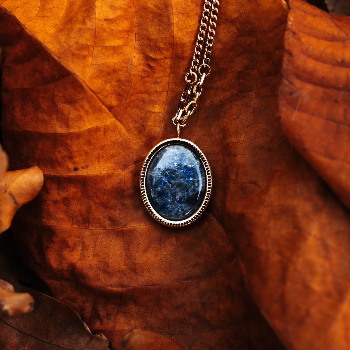 "Mirror Necklace" necklace, featuring a gold chain and a lapis lazuli pendant, styled against an autumn leaf background.
