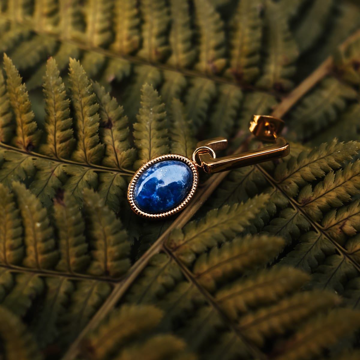 Mirror Earrings: elegant earrings featuring gold and lapis lazuli, styled against green far leaves.