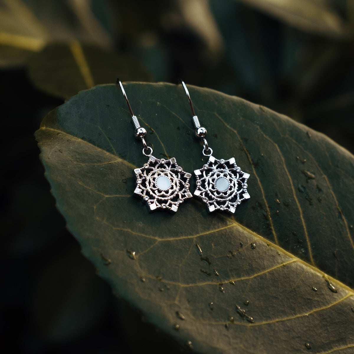 "Aphonia Earrings" earrings with aquamarine stones in intricate silver design, elegantly displayed on a leaf.