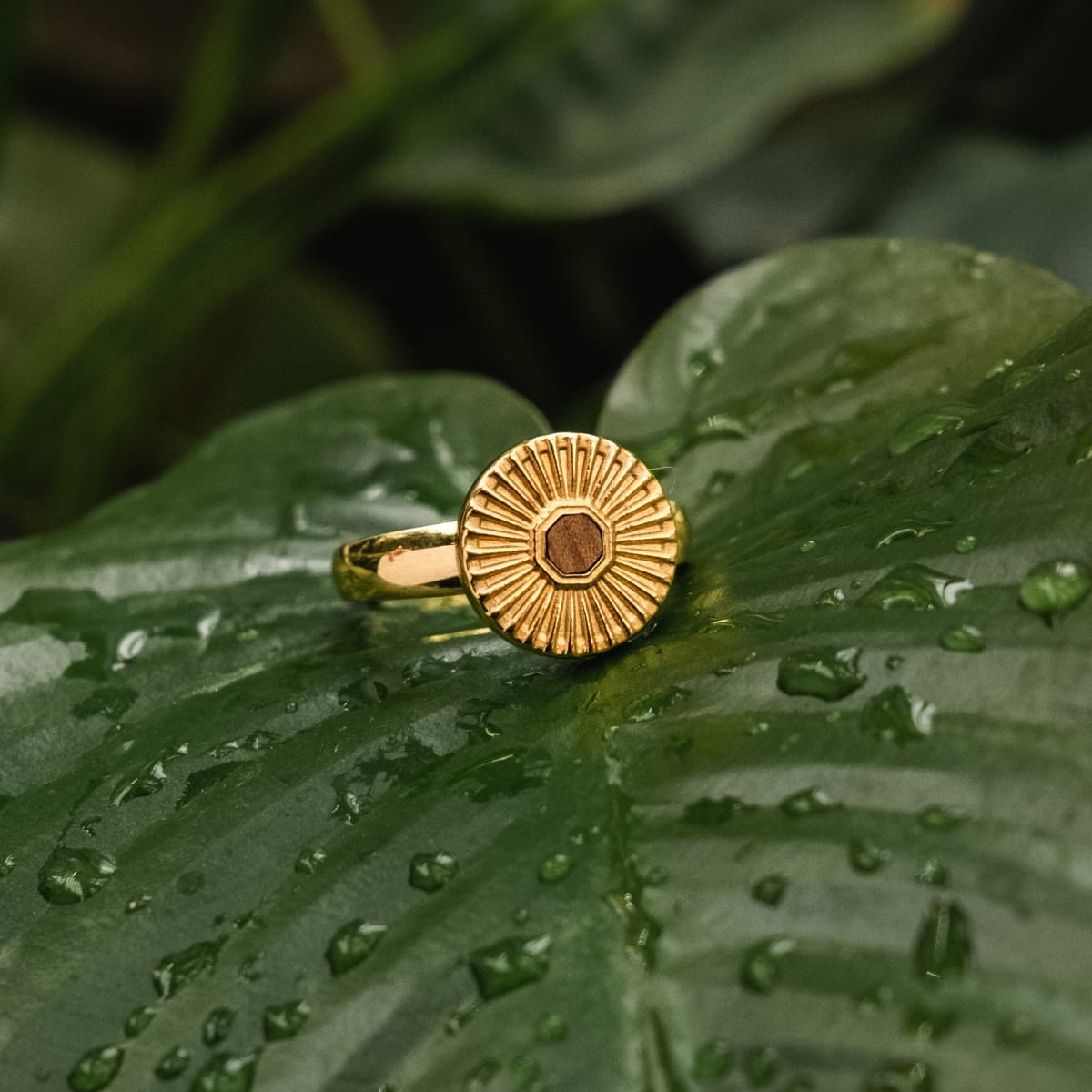 Stencil Ring (Koa/Gold)