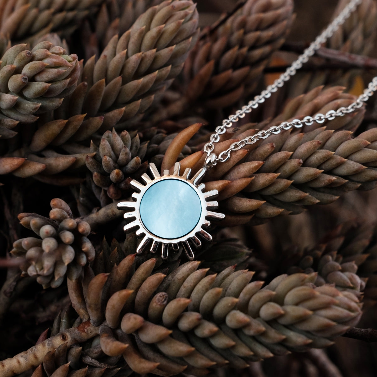 "Shade Necklace", a silver necklace featuring a sunburst design with a blue nacre centerpiece, displayed on succulent plants.