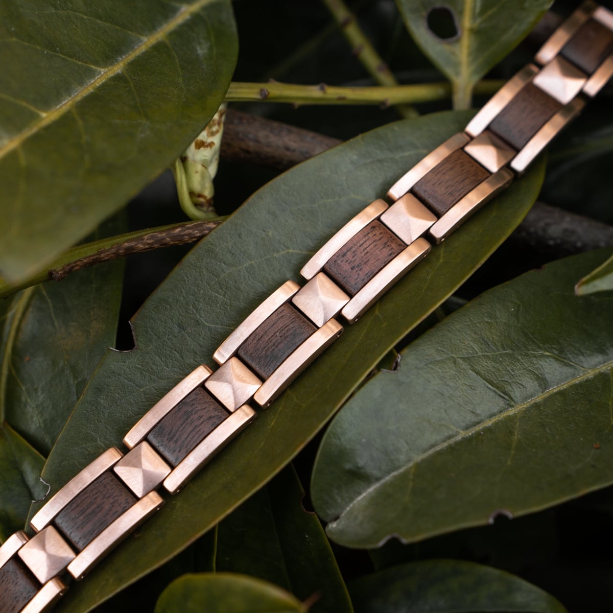 "Rhapsody" bracelet with walnut and rose gold finishes, displayed on lush green leaves.