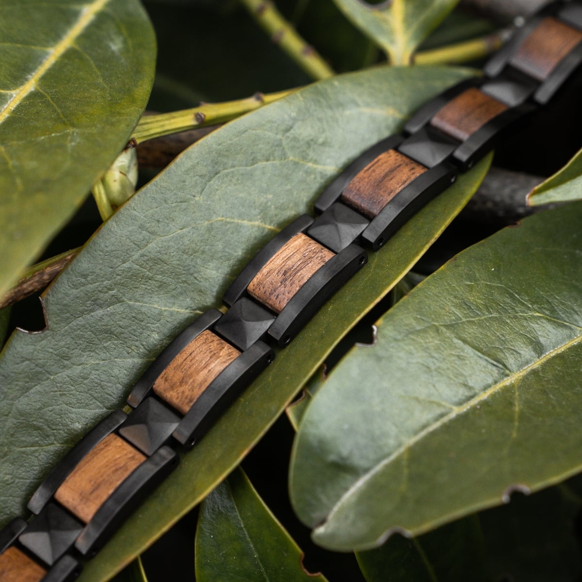 "Rhapsody" bracelet featuring walnut and black elements on leafy background, showcasing a modern natural aesthetic.