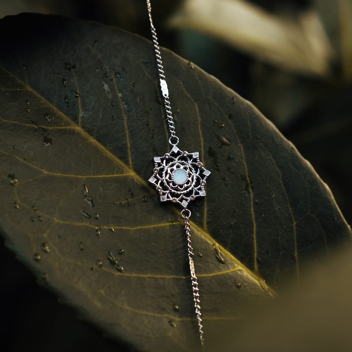 "Aphonia Bracelet" bracelet, featuring a delicate aquamarine and silver design with intricate detailing against a natural backdrop.
