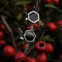 "Facade Earrings" stud earrings in a hexagonal design with a marble and silver finish.