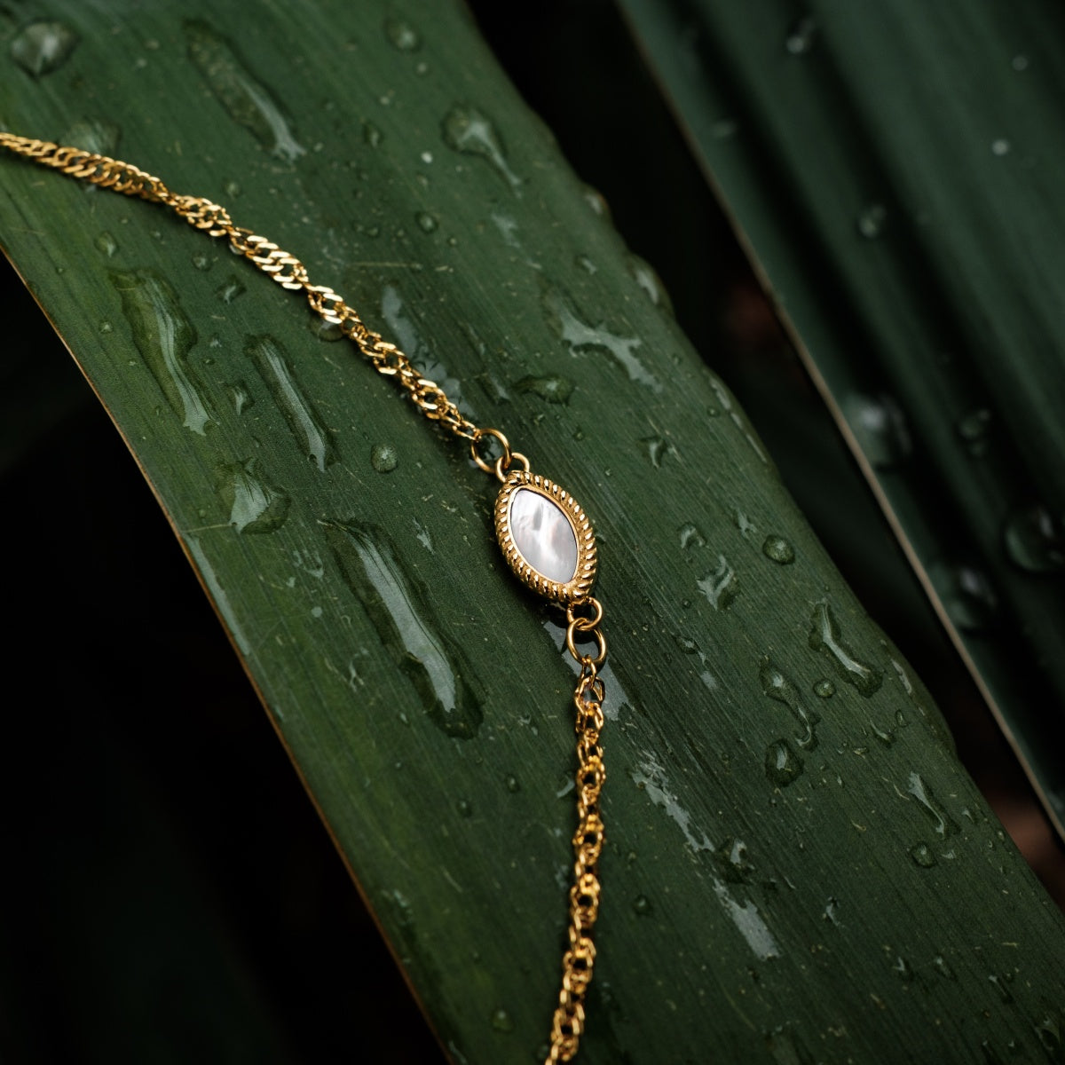 Visual Bracelet (White Mother-of-pearl/Gold)