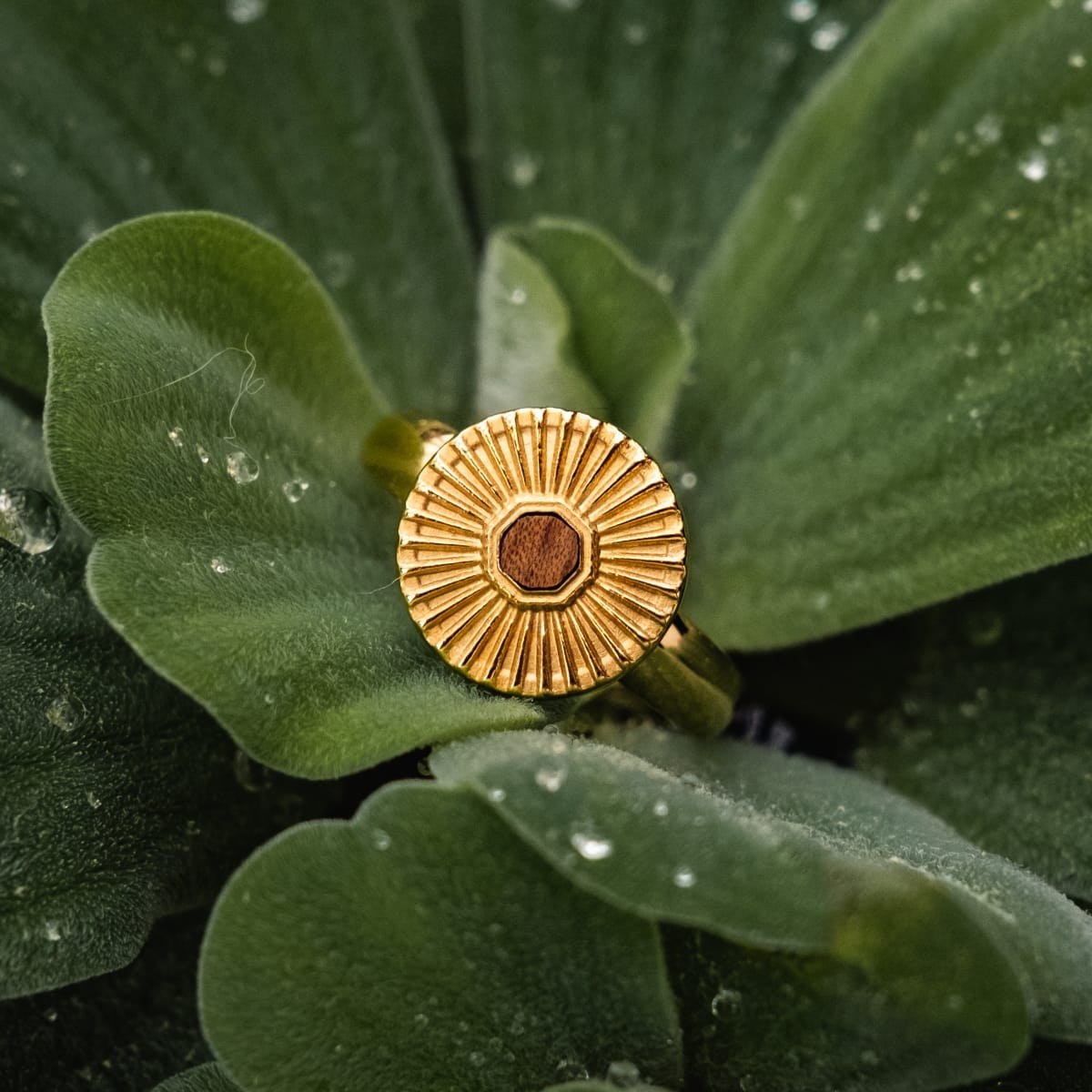 Stencil Ring (Koa/Gold)
