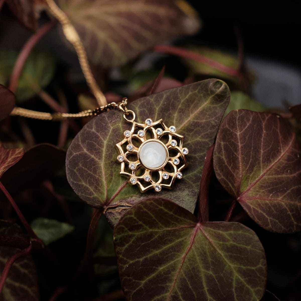 "Composition Gem Necklace", a gold moonstone necklace featuring a geometric design, resting on lush leaves.