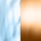 Rose – BlauesPerlmutt