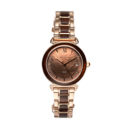 Solar Watches
