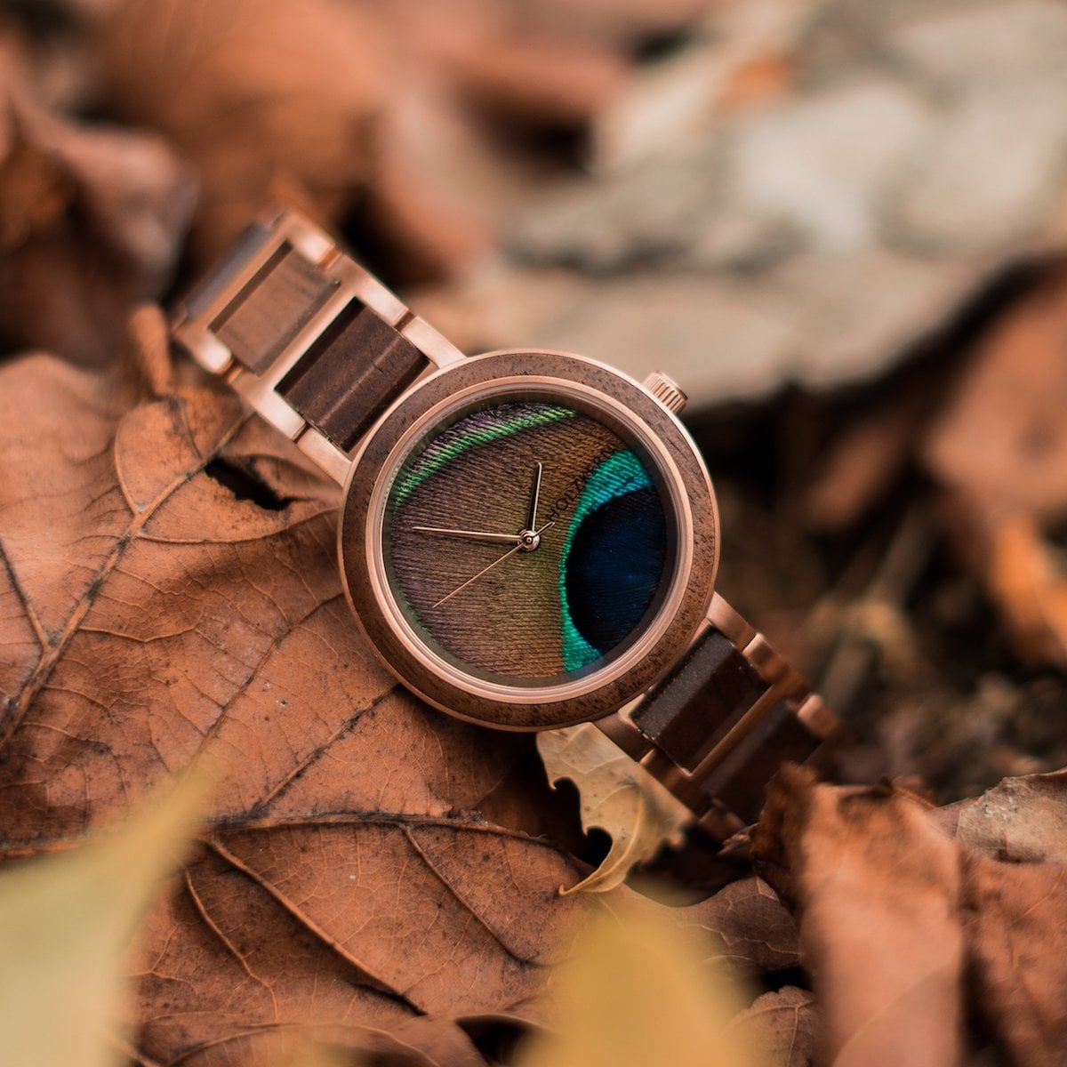 "The Optimist" - Stylish watch featuring walnut finish and peacock feather design on the dial.