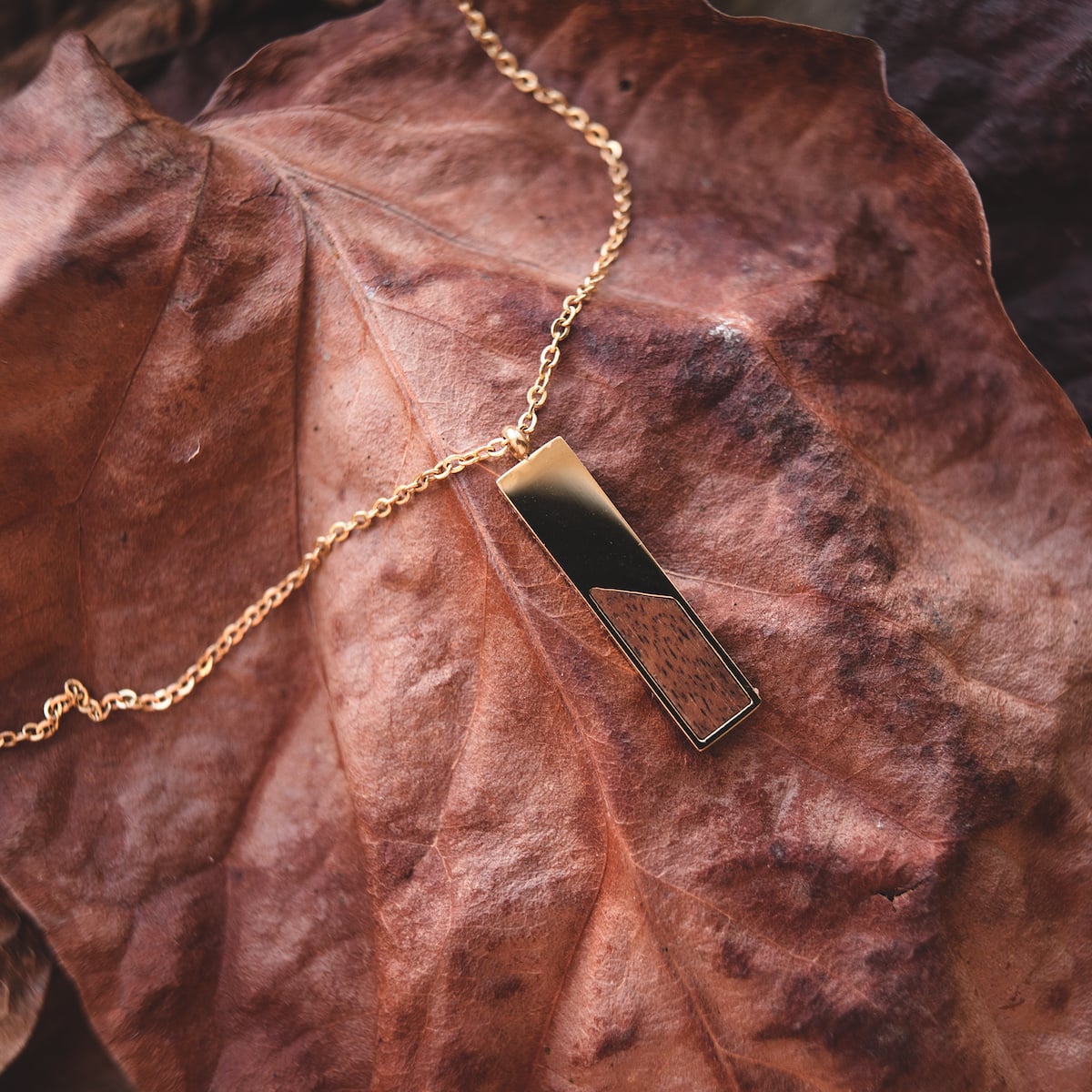 "Ephemera Necklace" necklace features a sleek koa wood and gold design, elegantly resting on autumn leaves.