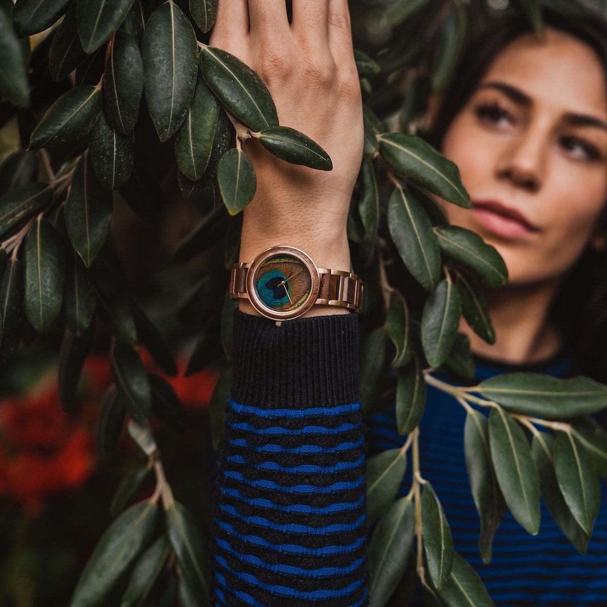 "The Optimist" wristwatch features a walnut and peacock feather design against a natural backdrop.