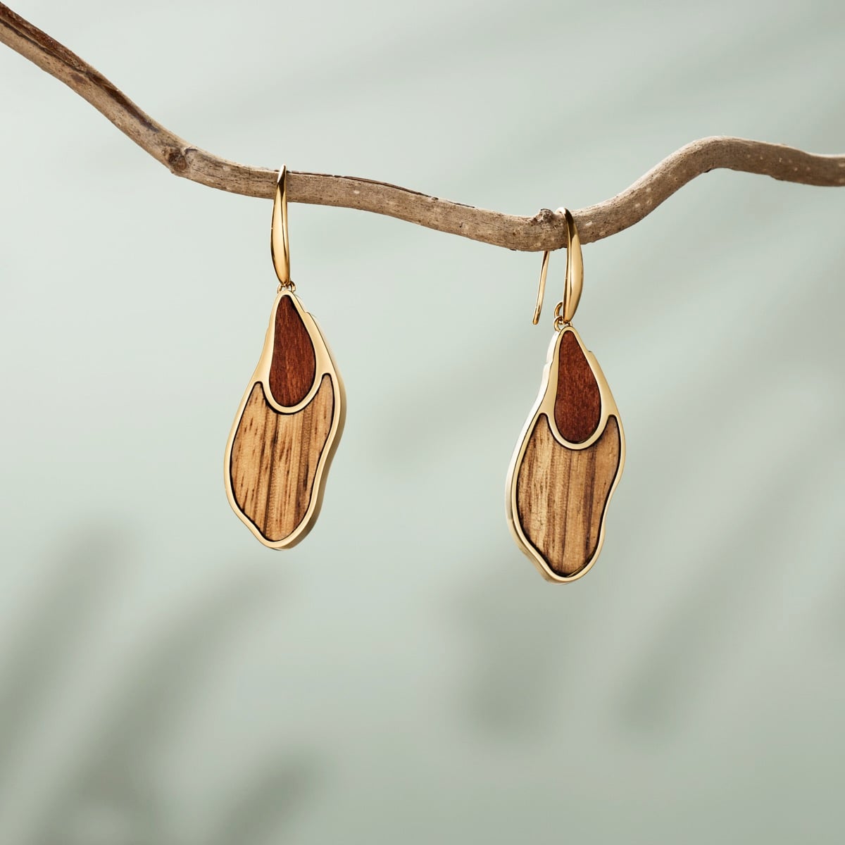 Sequoia Ohrringe (Zebrano/Gold) II