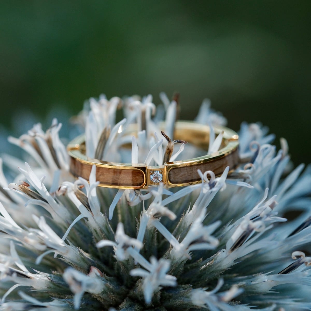 "Campania Ring", a stylish ring featuring olive wood and gold, displayed on a flower.