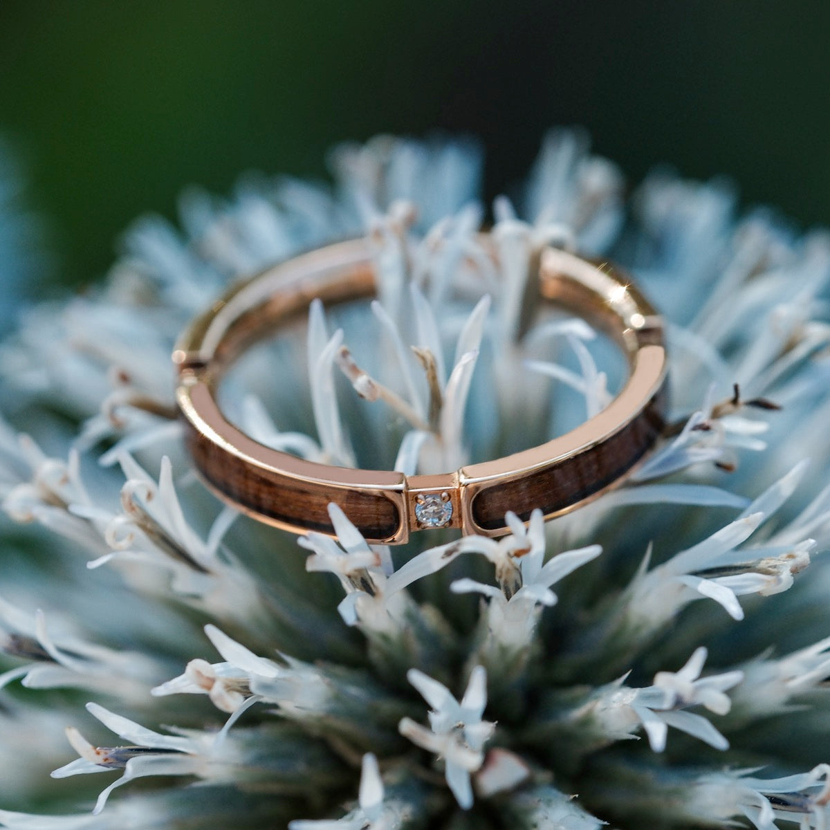 "Campania Ring II" ring in walnut and rose gold, with a modern, elegant design showcased on delicate white petals.