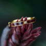 "Campania Ring" - Elegant ring featuring maple inlay and gold accents.