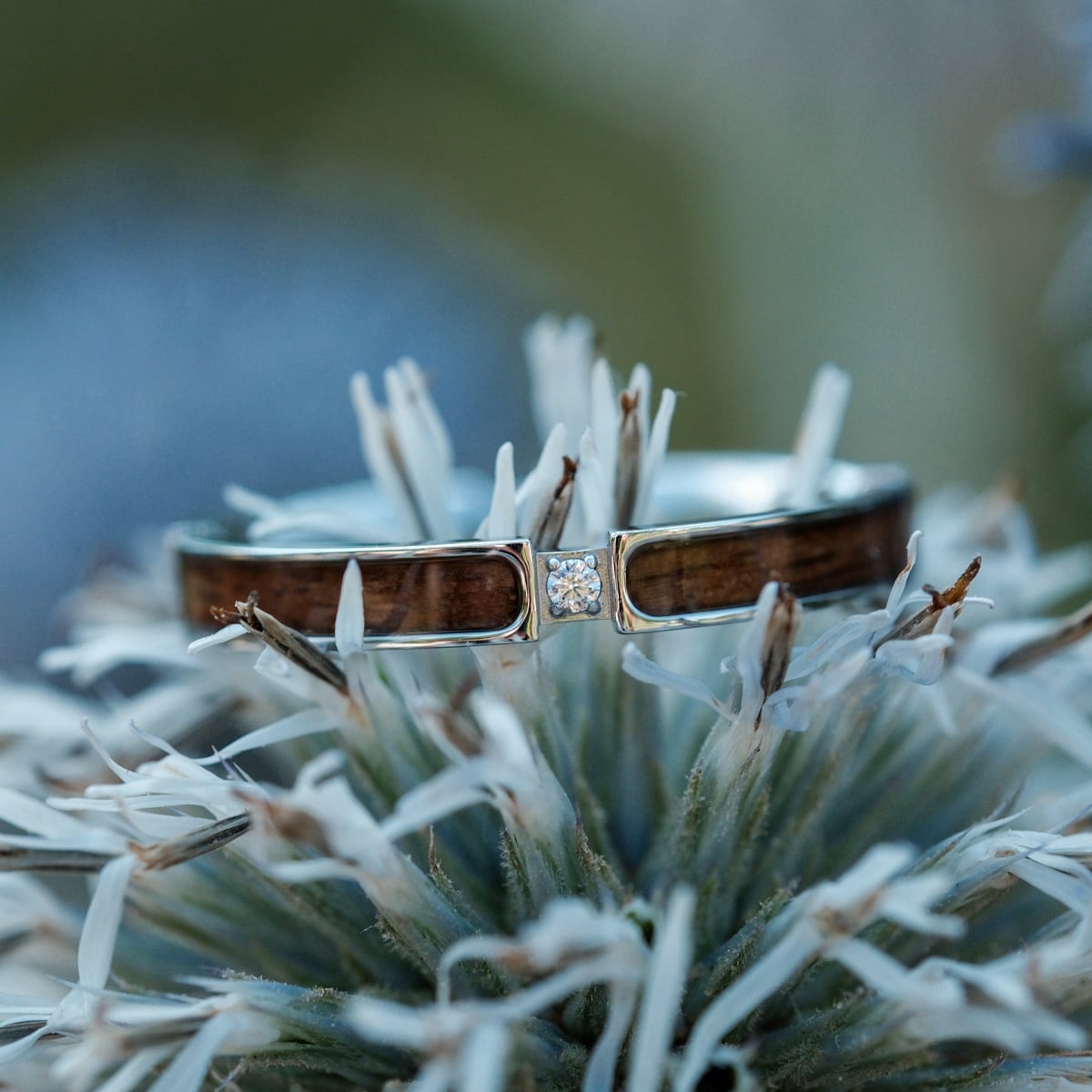 "Campania Ring II" ring featuring walnut and silver materials with an elegant, natural style.